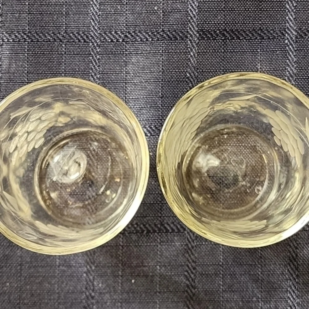 2 Vintage Grapes And Grapevine‎ Etched Glass Shot Glasses